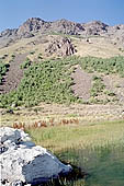 Nemrut Dagi, the dead volcano on the south shore of the lake Van